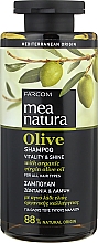 Kup Szampon z oliwą z oliwek - Mea Natura Olive Shampoo