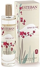 Esteban Esprit de The - Perfumowany spray do domu — Zdjęcie N1