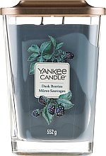 Kup  Świeca zapachowa - Yankee Candle Elevation Dark Berries