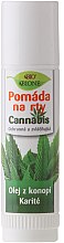 Kup Balsam do ust w sztyfcie Konopie - Bione Cosmetics Cannabis