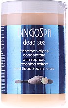 Kup Koncentrat cynamonowo-algowy z perełkowcem japońskim i minerałami z Morza Martwego - BingoSpa Dead Sea Cinnamon-Algae Concentrate