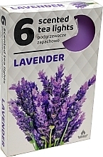 Kup Podgrzewacze zapachowe, lawenda, 6 szt. - Admit Scented Tea Light Lavender