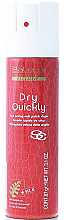 Kup Spray przyspieszający schnięcie lakieru - Salerm Dry Quickly