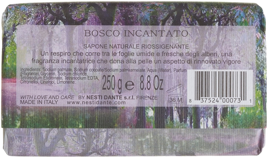 Naturalne mydło w kostce Zaczarowany las - Nesti Dante Emozioni in Toscana Bosco Incantato — Zdjęcie N2