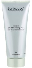 Kup Mineralny żel oczyszczający do twarzy Czarne błoto z Morza Martwego - Anna Lotan Barbados Mineral Cleansing Gel