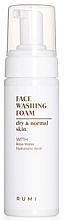 Żel do mycia twarzy do skóry suchej i normalnej - Rumi Cosmetics Face Washing Foam Dry & Normal Skin — Zdjęcie N1