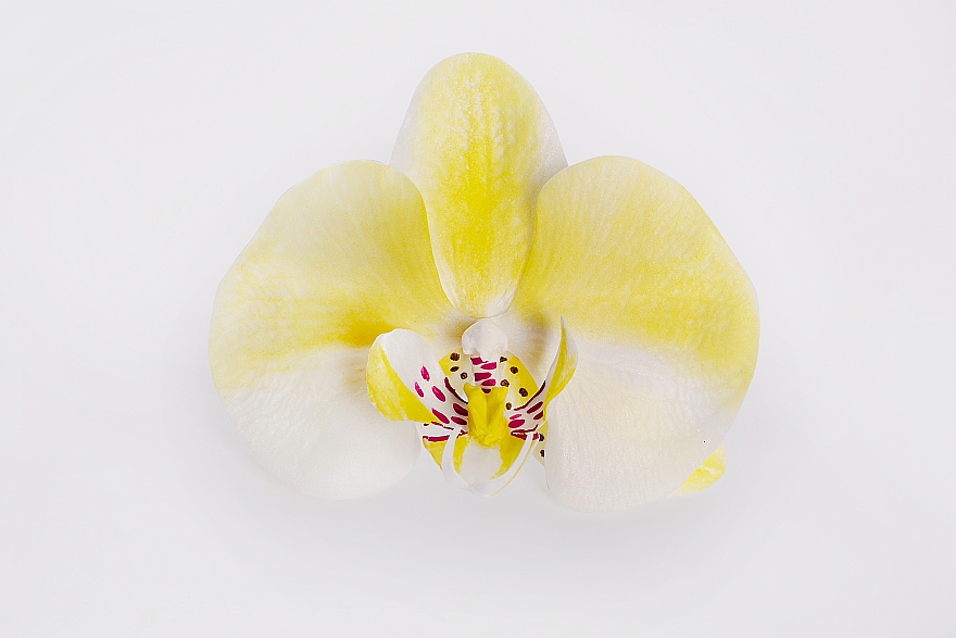 Automatyczna spinka do włosów Żółta orchidea - Katya Snezhkova — Zdjęcie N1