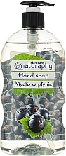 Mydło w płynie do rąk Porzeczka z aloesem - Naturaphy Hand Soap — Zdjęcie N1
