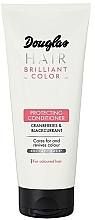 Odżywka do włosów farbowanych Żurawina i czarna porzeczka - Douglas Hair Brilliant Color Protecting Conditioner — Zdjęcie N1