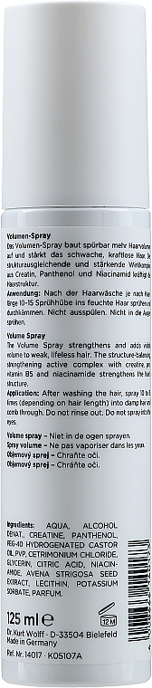Spray zwiększający objętość włosów - Alcina Volume Spray — Zdjęcie N2
