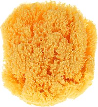 Kup Hipoalergiczna gąbka dla dzieci - Suavipiel Baby Natural Sea Sponge