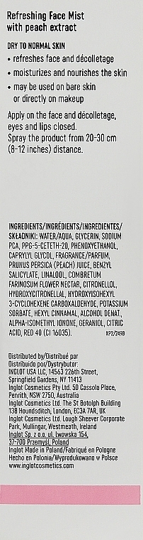 Odświeżający spray do skóry suchej i normalnej - Inglot Refreshing Face Mist Dry to Normal Skin — Zdjęcie N3