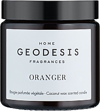 Kup Geodesis Orange Tree - Świeca zapachowa