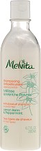 Kup Przeciwłupieżowy szampon do włosów Melisa i mięta - Melvita Anti-dandruff Shampoo