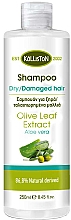 Szampon do włosów suchych i zniszczonych z aloesem - Kalliston Shampoo for Dry Damaged Hair with Aloe Vera — Zdjęcie N1