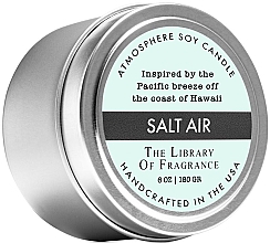 Kup Demeter Fragrance The Library of Fragrance Salt Air Atmosphere Soy Candle - Świeca zapachowa