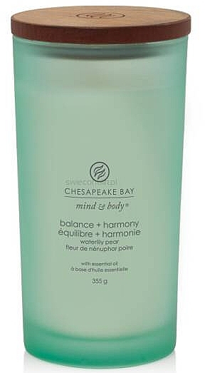 Świeca zapachowa Balance & Harmony - Chesapeake Bay Candle — Zdjęcie N3