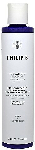 Rozjaśniający szampon do włosów blond - Philip B Icelandic Blonde Shampoo — Zdjęcie N1