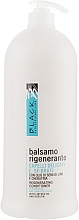 Kup Odżywka regenerująca do włosów suchych i osłabionych - Black Professional Line Regenerating Conditioner