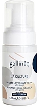 Kup Oczyszczająca pianka do mycia twarzy - Gallinee Foaming Facial Cleanser