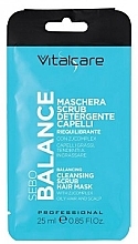 Maska, peeling i produkt oczyszczający 3 w 1 - Vitalcare Professional Sebo Balance Mask & Scrub — Zdjęcie N1
