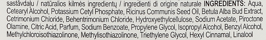 Przeciwłupieżowy balsam do włosów Dziegieć brzozowy i olej rycynowy - Green Pharmacy — Zdjęcie N2