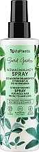 Kup Wzmacniający spray do włosów osłabionych z tendencją do wypadania - Vis Plantis