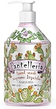 Kup Mydło w płynie do rąk - Rudy Pantelleria Hand Wash 