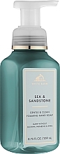 Kup Mydło do rąk w piance - Bath and Body Works Sea & Sandstone Gentle & Clean Foaming Hand Soap