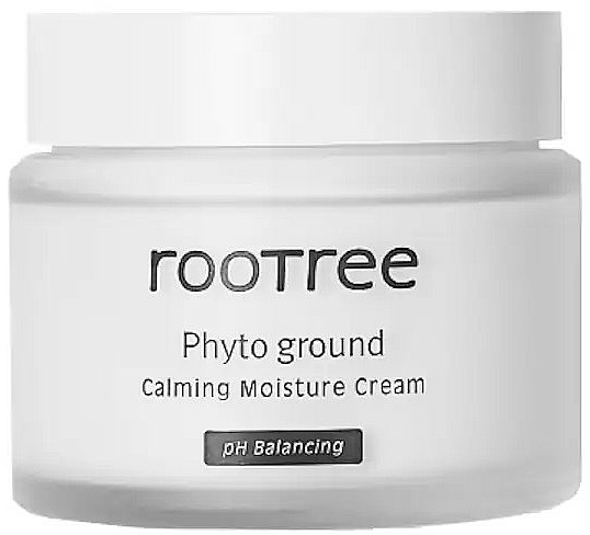 Krem nawilżający do twarzy - Rootree Phyto Ground Calming Moisture Cream — Zdjęcie N1