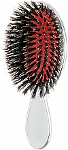 Kup Miniszczotka do włosów z naturalnym włosiem, srebrna - Janeke Silver Hairbrush 