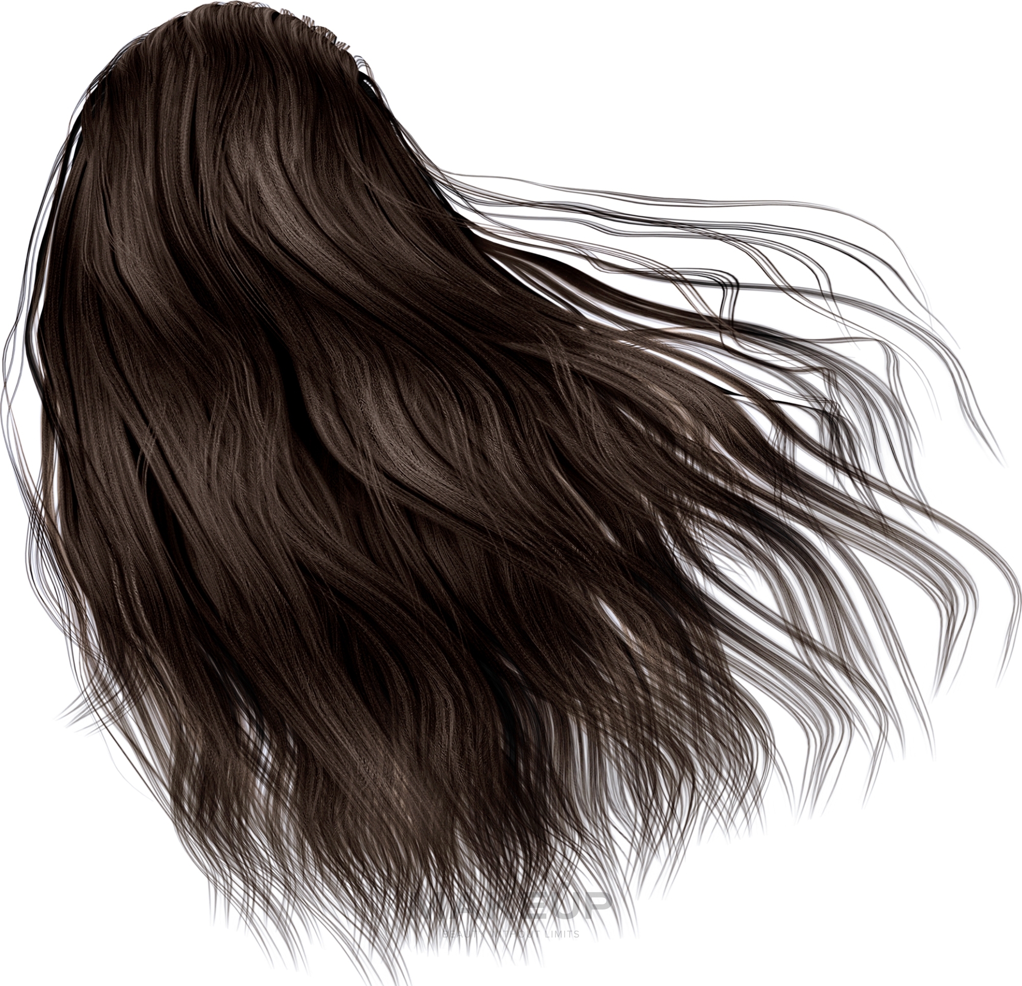 Farba do włosów - Lazartigue La Couleur Absolue Permanent Haircolor — Zdjęcie 3.00 - Dark Chestnut