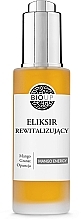 Regenerujący eliksir do twarzy - Bioup Elixir Mango Energy — Zdjęcie N1