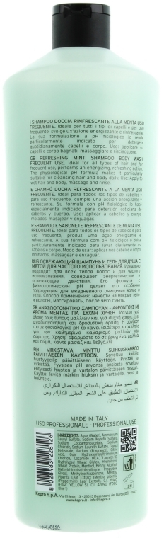Odświeżający szampon miętowy do włosów i ciała do codziennej pielęgnacji - KayPro Hair Care Shampoo — Zdjęcie N2
