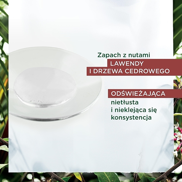 Serum przeciw wypadaniu włosów z Chininą i Organiczną Szarotką - Klorane Hair Strengthening Serum With Quinine & Organic Edelweiss Against Hair Loss — Zdjęcie N4