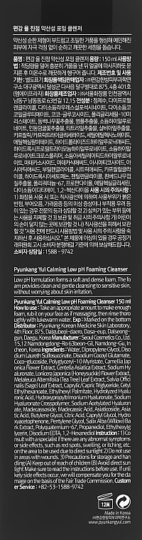 Kojąca pianka do mycia twarzy o niskim pH - Pyunkang Yul Calming Low pH Foaming Cleanser — Zdjęcie N3