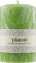 Kup Dekoracyjna świeca palmowa, młode liście - Plamis
