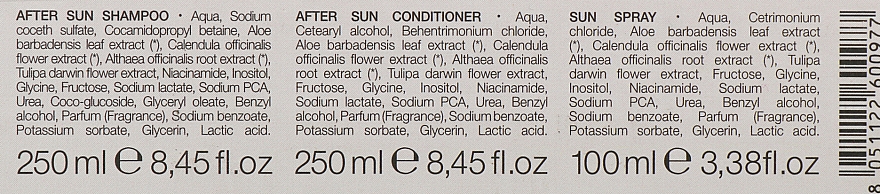 Zestaw do pielęgnacji włosów po opalaniu - pH Laboratories Sun Care Kit (shm/250ml + cond/250ml + spray/100ml) — Zdjęcie N4