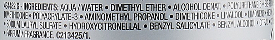 Termoaktywny spray wygładzający - L'Oreal Professionnel Tecni.art Constructor Thermo-Active Spray — Zdjęcie N2