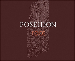 Kup Instituto Espanol Poseidon Root - Zestaw (edt/100ml + sh/gel/100ml + ash/lot/100ml)