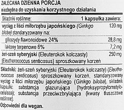 Suplement diety Ginkgo Biloba, 120 mg - Now Foods Ginkgo Biloba Double Strength — Zdjęcie N3