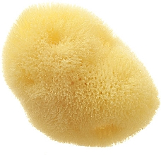 Naturalna gąbka morska Fina Silk Sea Sponge, 7,6 cm - Hydrea London Mediterranean Origin — Zdjęcie N1