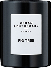Kup Urban Apothecary Fig Tree - Świeca zapachowa
