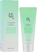 Żel do demakijażu Zielona śliwka - Beauty Of Joseon Green Plum Refreshing Cleanser — Zdjęcie N2
