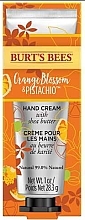 Kup Krem do rąk - Burt's Bees Orange & Pistachio Hand Cream