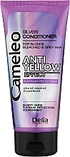 Odżywka do włosów siwych i blond - Delia Cosmetics Cameleo Silver Conditioner Anti-Yellow Effect — Zdjęcie N3