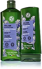 Szampon dodający objętości włosom z peptydami z komosy ryżowej - Yves Rocher Volume Shampoo With Ouinda Peptides  — Zdjęcie N3