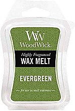 Kup Wosk zapachowy - WoodWick Wax Melt Evergreen