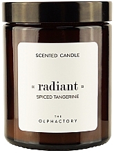 Świeca zapachowa w słoiku - Ambientair The Olphactory Radiant Spiced Tangerine Scented Candle — Zdjęcie N1