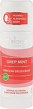 Kup Organiczny naturalny dezodorant grejpfrutowo-miętowy - Saloos Grep Mint Deodorant